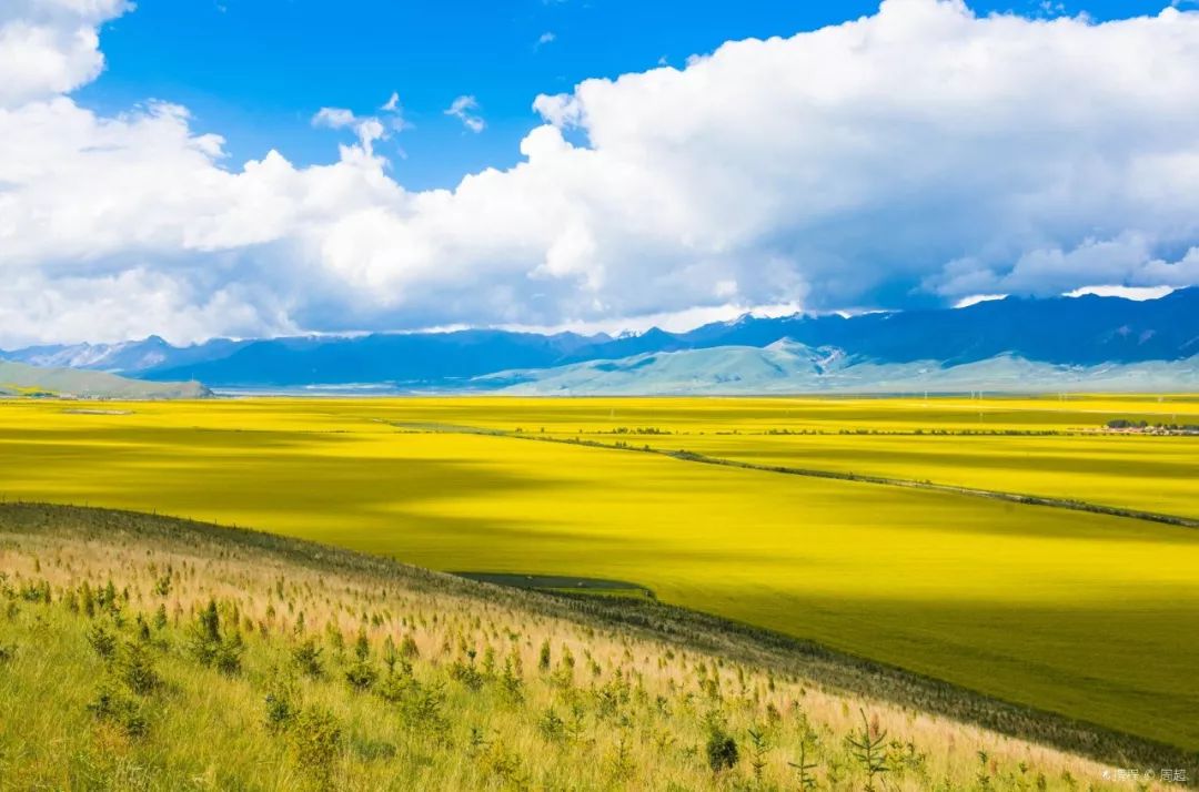 青海,深度解读高原魅力与独特风情评论文章